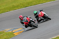 PJ-Motorsport-2019;anglesey-no-limits-trackday;anglesey-photographs;anglesey-trackday-photographs;enduro-digital-images;event-digital-images;eventdigitalimages;no-limits-trackdays;peter-wileman-photography;racing-digital-images;trac-mon;trackday-digital-images;trackday-photos;ty-croes